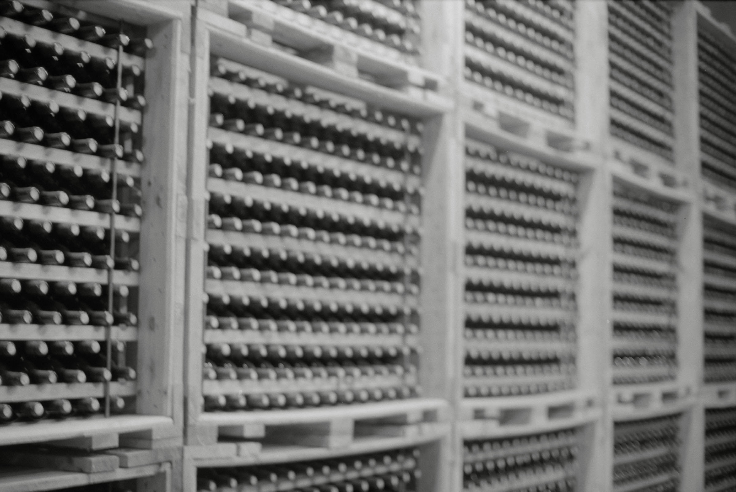 AHP F1995 05 007 sc240826 img16 NLP